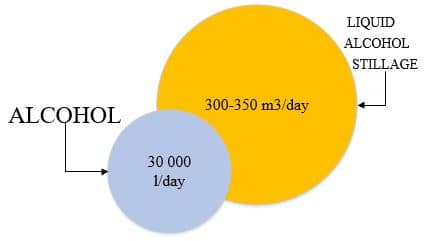 Comparative diagram of the amount of produced ethyl alcohol to the amount of liquid distillery stillage