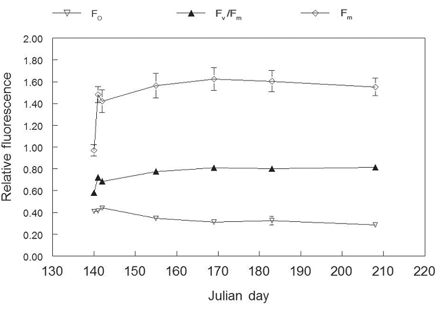  4 – F<sub>o</sub>, F<sub>m</sub>  F<sub>v</sub>/F<sub>m</sub>                (Julian Day 140).