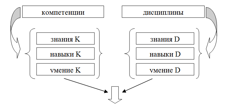 Взаимосвязь компетенций и дисциплин