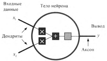 Изображение упрощенной модели нейрона