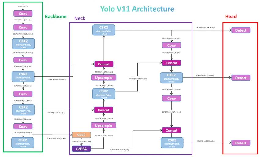  YOLOv11