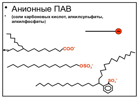 pic1.1