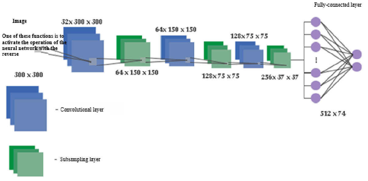 Neural network model