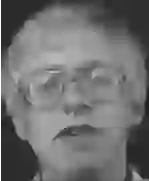 Лицо 4