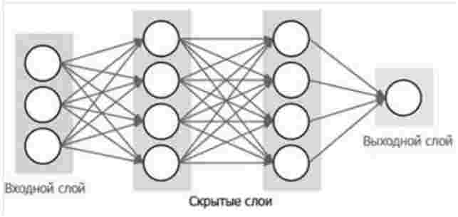 Расположение нейронов в НС