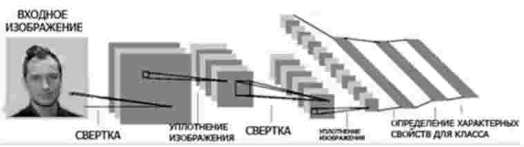 Архитектура СНС