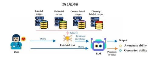 Схема BioRAB: запрос пользователя, retrieval-инструмент, LLM и разные типы корпусов (размеченный, неразмеченный, контрфактуальный и разнообразный)