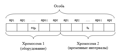 Структура особи