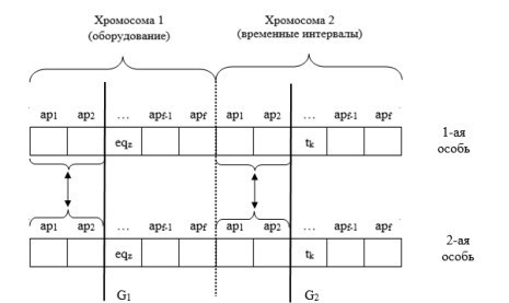 Схема скрещивания двух особей